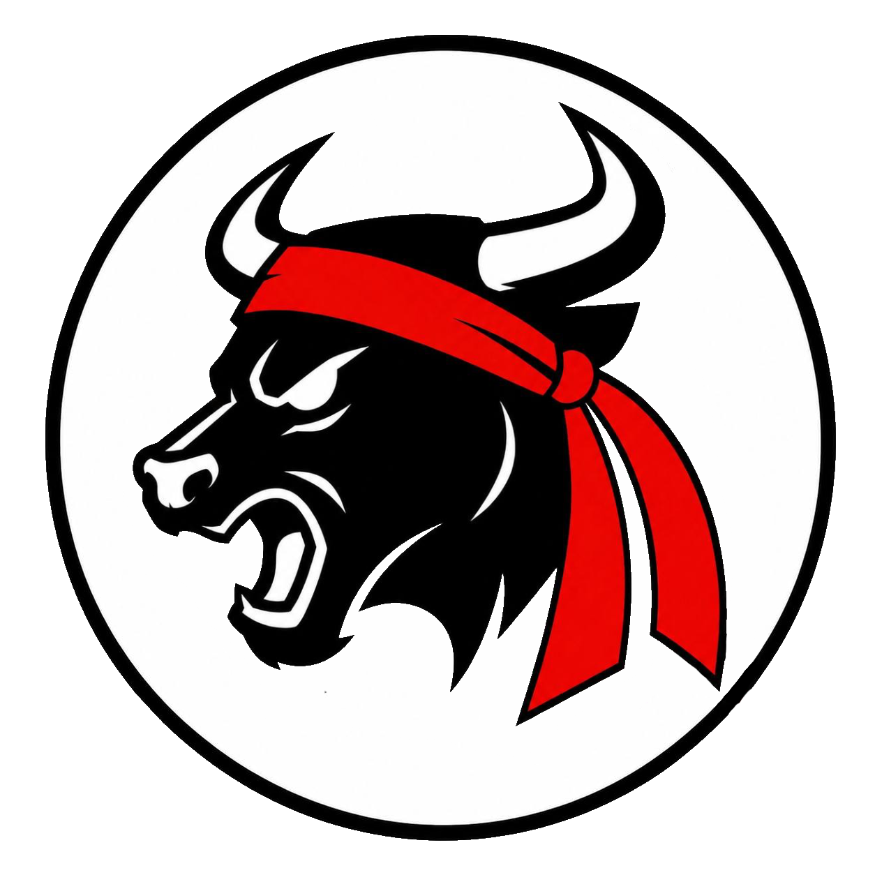 GME BULL